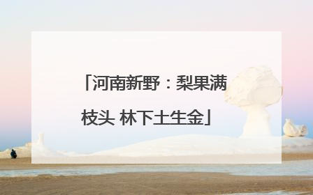 河南新野：梨果满枝头 林下土生金